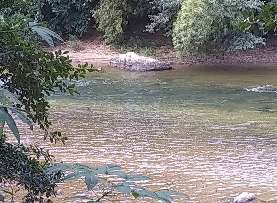Serra Mar A Beira Rio , Rafting, Suites, Lofts, E Casas *